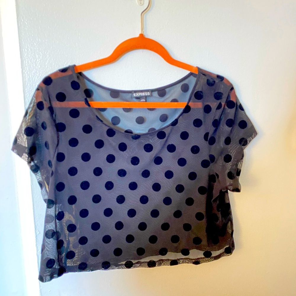 Express Sheer Polka Dot Top Size Large